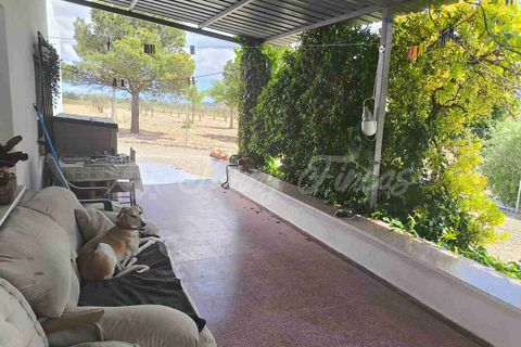 Landejendom i Yecla, Murcia, Yecla - € 225.000 | Ref: SF0527 - foto 6